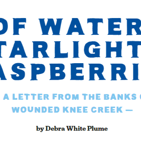 Preview thumbnail for resource 'Of Water, starlight & Raspberries - A Letter From the Banks of Wounded Knee Creek'